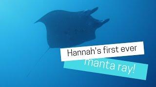 Hannahs Manta Ray