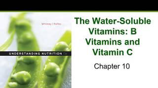 The Water Soluble Vitamins Chapter 10