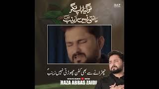 21 Ramzan Noha 2024 - Mar Gaya Baap Magar Manti Nahi Zainab  Syed Raza Abbas Zaidi #shorts