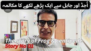 The Moral of Story 01  Philosophical Frog & Centipede  Urdu  Hindi  Kifayat Rodani