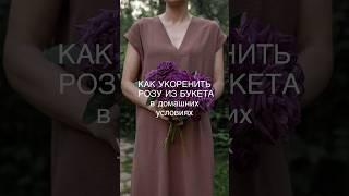 Проверенный способ укоренения розы Черенкование розы из букета. #черенкованиероз #укоренение #розы