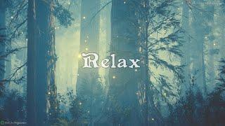Duduk Flute Meditation Sleep Music 432 Hz + Relaxing Nature Video & Ambience ASMR  Soothing Calm