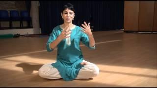 DANZA BHARATANATYAM - Presentazione di Nuria Sala Grau