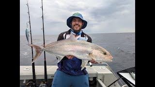 Winter Pelagics Offshore Brisbane June 2024 #trolling and #bottombashing