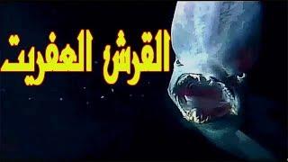 القرش العفريت من اغرب قروش العالم  Shark Elf of the strangest sharks of the world