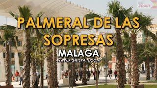 Palmeral de las Sorpresas Málaga Spain 2016.