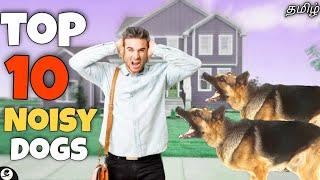 Top 10 noisy dog breeds  barking most  family  funny 