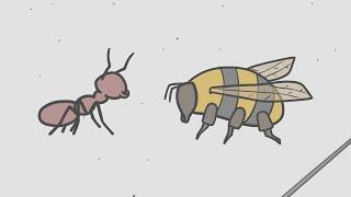 Ant Vs. Bee Animated Short