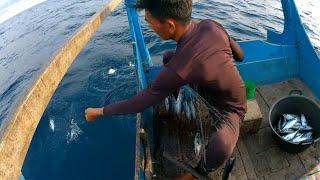 Mancing Ikan Tradisional Sekali Narik Dapat Sebanyak Ini