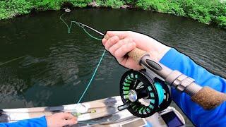 FLY FISHING for BIG AGGRESSIVE BASS  EPIC ACTION