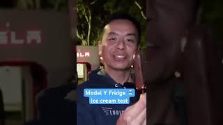 Tesla Model Y fridge freezer ice cream test  Braumach Code TESLATOM