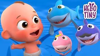 Baby Shark and More Nursery Rhymes  Best kids songs collection  Hello Tiny