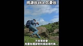 桃源谷aka.忘憂谷｜放低身段拍攝這裡的美｜神似windows XP的經典桌布 #桃源谷 #貢寮 #大草原