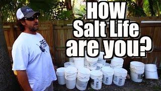 How Salt Life Are You?