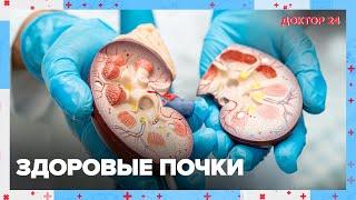 Здоровые ПОЧКИ  Доктор 24