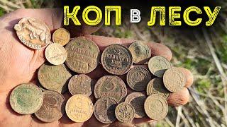 Коп монет 2024 Нашел в лесу старинные монеты Поиск монет в лесу с металлоискателем Deus