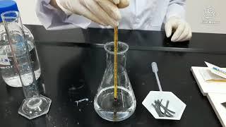 Experiment 2 Magnesium ribbon and diluted Hydrochloric acid