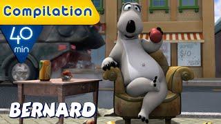 Bernard Bear  Leisure time COMPILATION  40 MIN  Cartoons for Children  Full Episodes