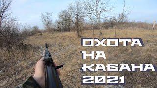 Охота на кабана 2021