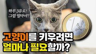 고양이 양육비용  cost of raising a cat  냥이생각