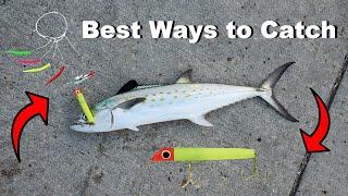 2 Best Ways to Catch Spanish Mackerel from Piers