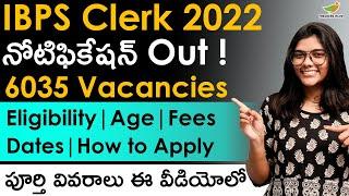 IBPS Clerk 2022 Notification in Telugu  6035 Posts  Eligibility  Salary  Application Form