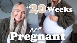 20 WEEK PREGNANCY UPDATE SYMPTOMS & BUMP