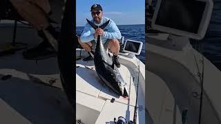 Run and Gun Bluefin Tuna Fishing