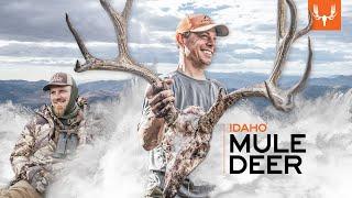 Idaho Mule Deer  MeatEater Season 12