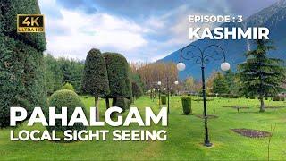 Kashmir Part 3  Pahalgam  Local Sightseeing  Must visit place in Kashmir  Vlog #79