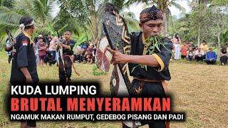 AWAS.. KUDA LUMPING GALAK MENYERAMKAN  Ngamuk makan rumput & padi saat pentas di Jampangkulon