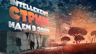 Стрим ► Атмосферное выживание в DAYZ  ДЭЙЗИ #intellekent #стримдэйз #dayzстрим