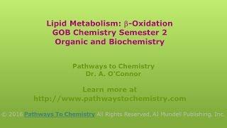 Lipid Metabolism GOB Chemistry