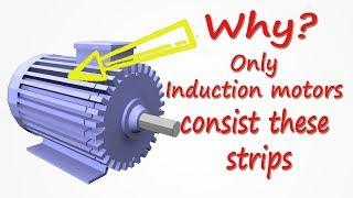 Why induction motors consist these strips?