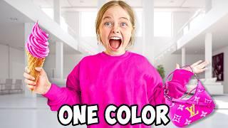 I Bought Everything In ONE COLOR for my Sister