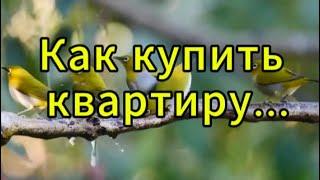 Как Купить Квартиру  Что нужно знать чтоб КУПИТЬ КВАРТИРУ