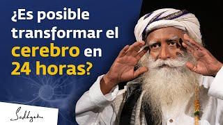 ¿Es posible reprogramar el cerebro?  Sadhguru cuenta la historia de su vida