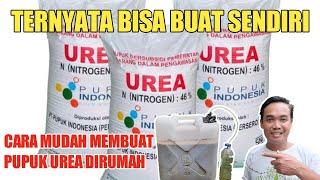 Cara Membuat Pupuk UREA Sendiri Dirumah  Manfaatnya Luar Biasa Untuk Tanaman