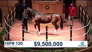 The November Sale 2017 SONGBIRD sells for $9.5M