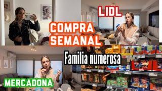 COMPRA SEMANAL MERCADONA y LIDL con PRECIOS NOVEDADES MERCADONALITTLE HAPPY MOM