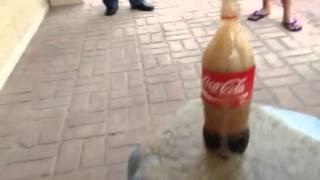 Mentos and Coke Experiment 1