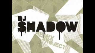 Mishelle feat Randi-Only You Dj ShadowRemix