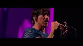 By the Way - Red Hot Chili Peppers LIVE