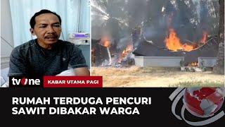 Kesaksian Pemilik Kebun Sawit Saat Pergoki Aksi Pelaku Pencurian  Kabar Utama Pagi tvOne