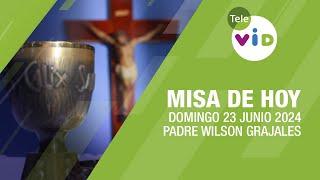 Misa de hoy  Domingo 23 Junio de 2024 Padre Wilson Grajales #TeleVID #MisaDeHoy #Misa