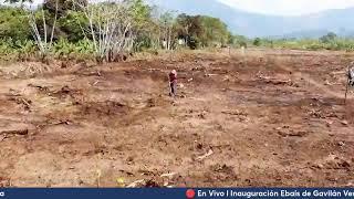  En Vivo l Inauguración Ebais de Gavilán Vesta