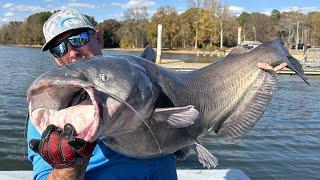 Giant River Monsters from the Deep Catch Clean and Cook
