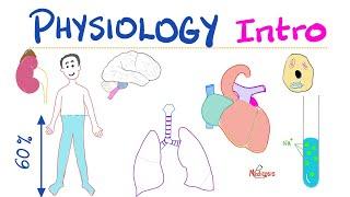 Physiology Introduction - What is Physiology? - A Complete Playlist - Doctors Nurses Undergrads