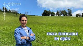 FINCA EDIFICABLE Y SEGREGABLE EN VENTA EN EL CONCEJO DE GIJÓN ASTURIAS *190.000*#asturias #terreno