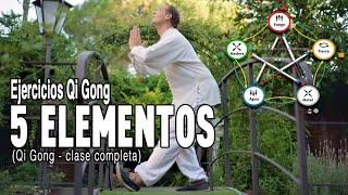  Clase de QI GONG  5 ELEMENTOS medicina china  MEJORA funciones de los ÓRGANOS